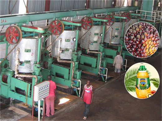 palms oil press mill in mozambique