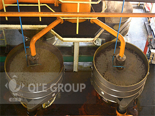 30t/h palm kernel oil processing machine in cameroon