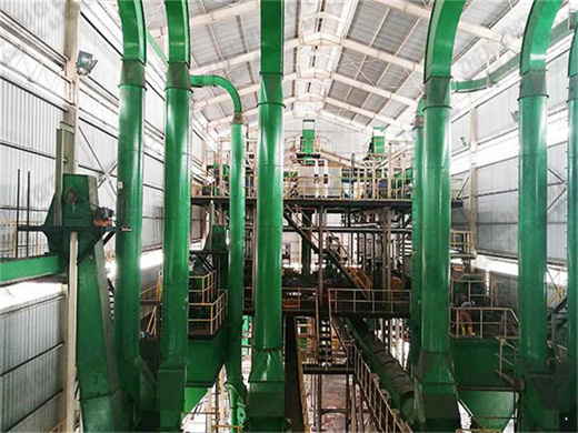 model good quality palm oil processing plant in durban