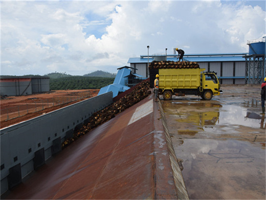 supplier palm kernel oil expeller machine in rwanda