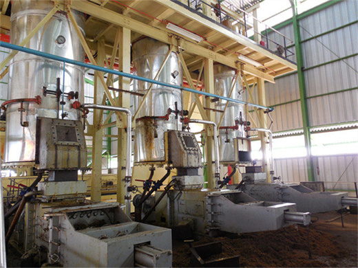 cost and palm oil extractor machine in malawi