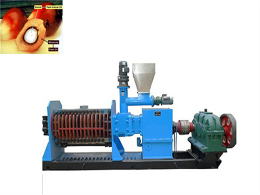 easy maintance machinery for palm oil production