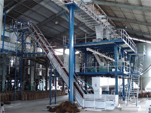 new style palm kernel oil plant for wholesale