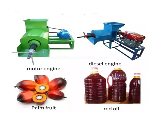 20tpd in palm oil processing equipment in south africa