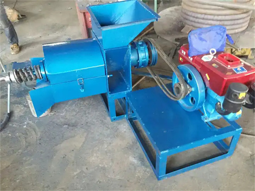 palm kernel oil production line machine popular in russia