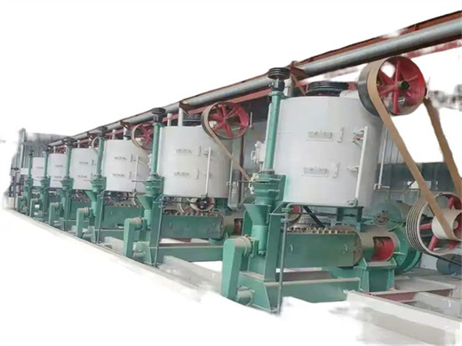 large capacity high quality palm kernel production line