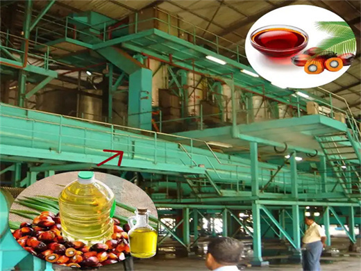 made seed palm oil extractor machine in bangladesh