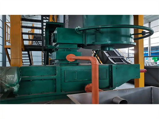 electric palm screw oil expeller in russia