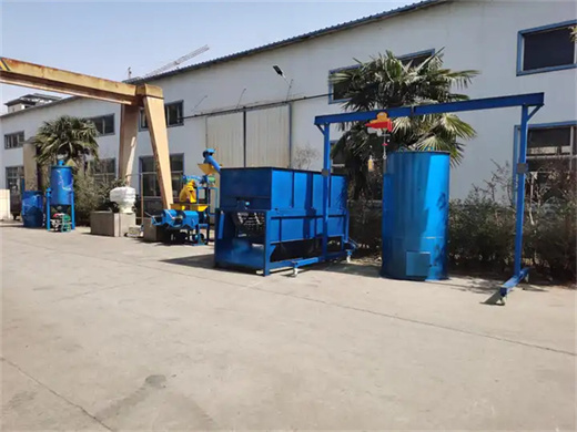 palm oil production machine with bv