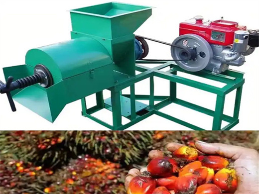 shop palm oil pressing machines in lagos
