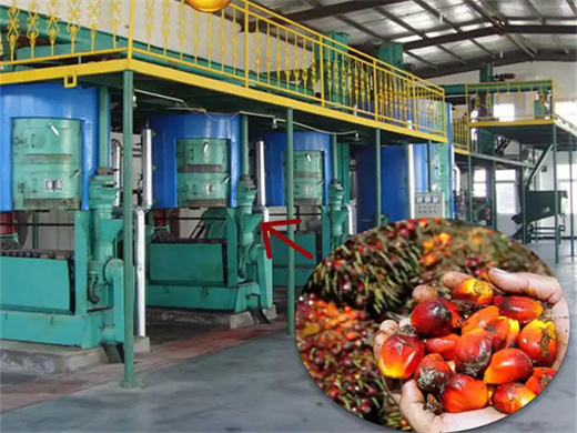high oil yield rate palm kernel mill machinerys